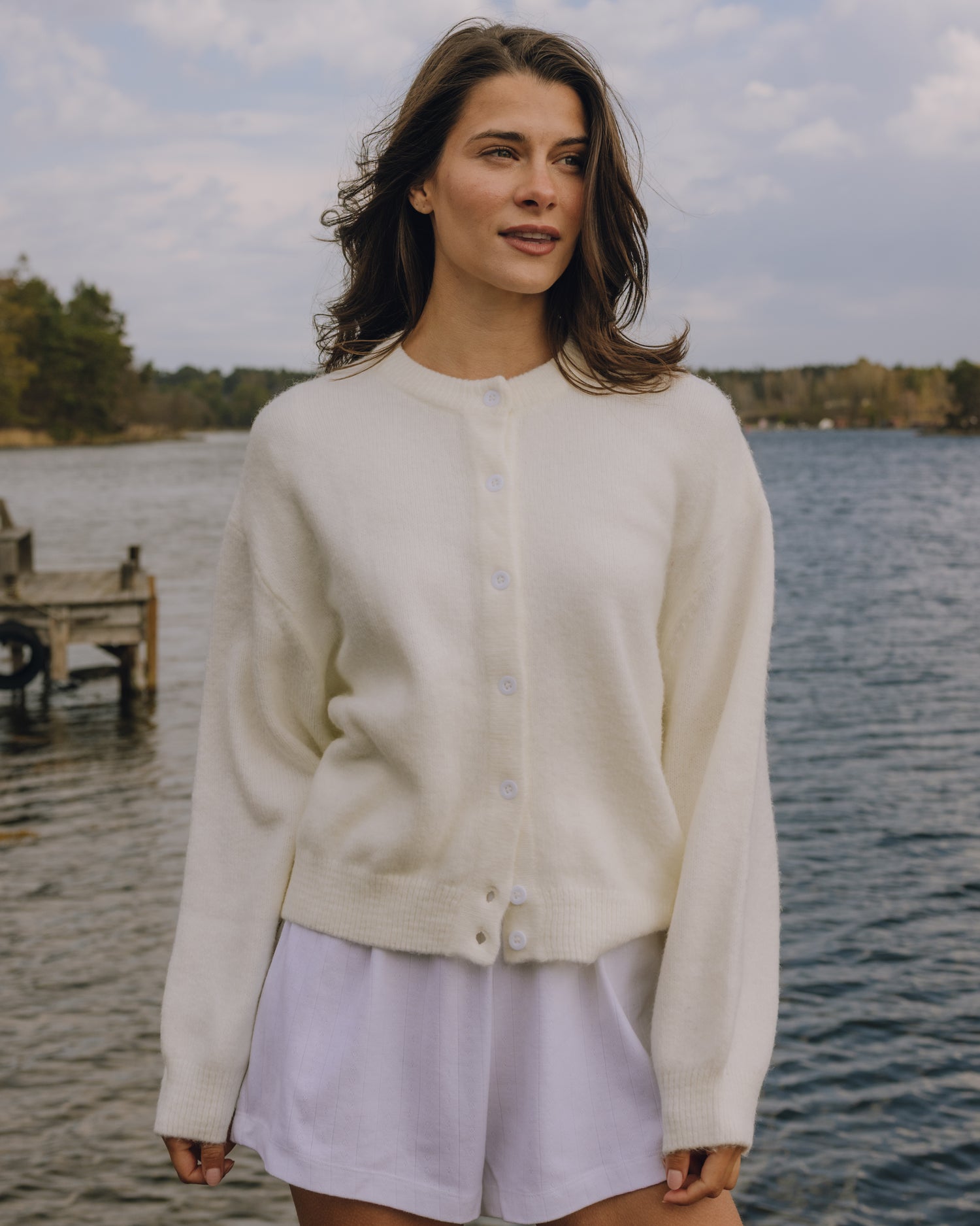 Button Up Sweater