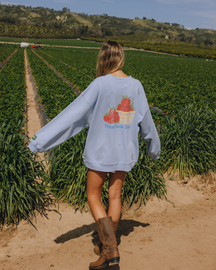 Oversized Picked Fresh Daily Crew - Mist